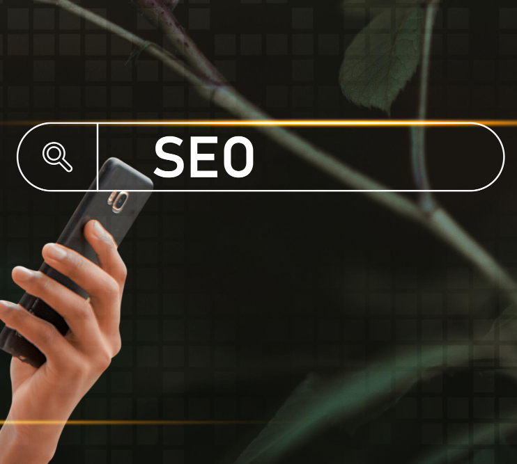 Your digital agency in Noida, India for professional SEO services
